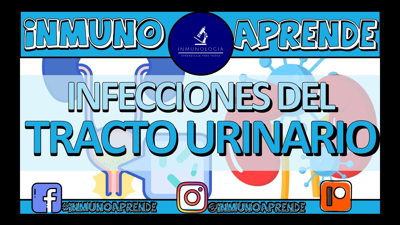 Infecciones del Tracto Urinario | Cistitis no complicada - Pielonefritis - IVUS recurrentes