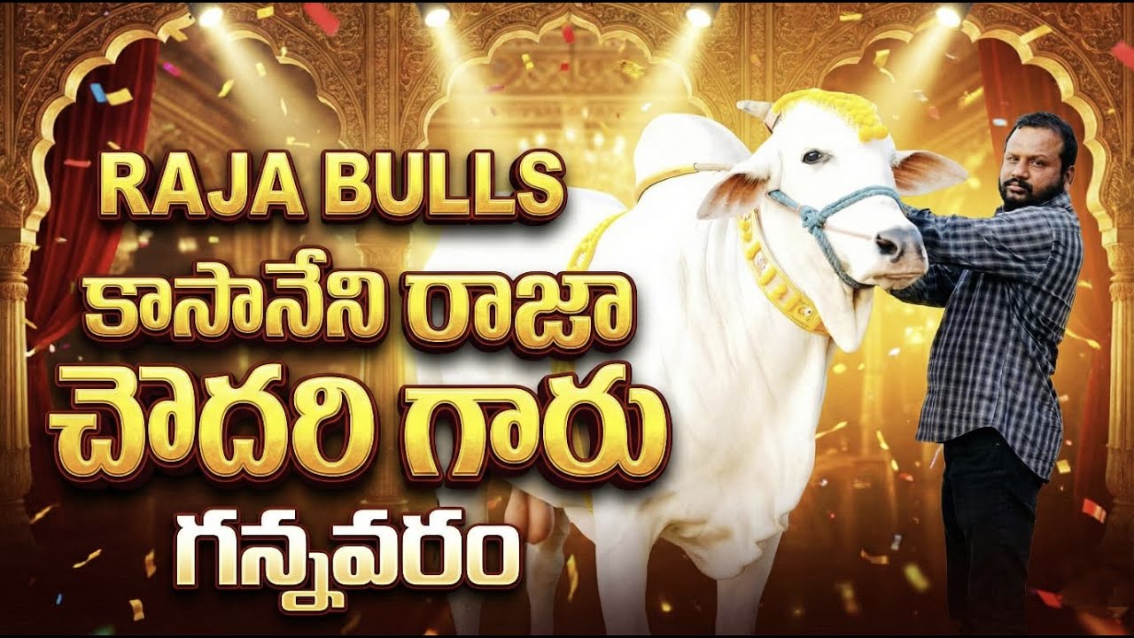 🚩6/2/2026నాదెండ్ల సీనియర్స్ 6జతకాసానేని రాజా చౌదరి గ వల్లభనేని మోహన్ రావు గారు జూ అభయంత్ ఉగ్రతేజ