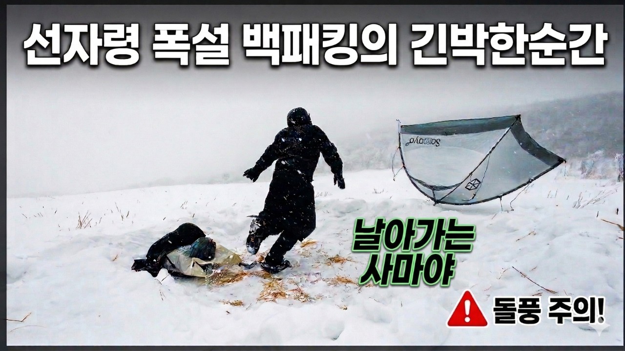 4K|3월 폭설 예보 보고 바로 달려갔습니다… 선자령 설산 백패킹