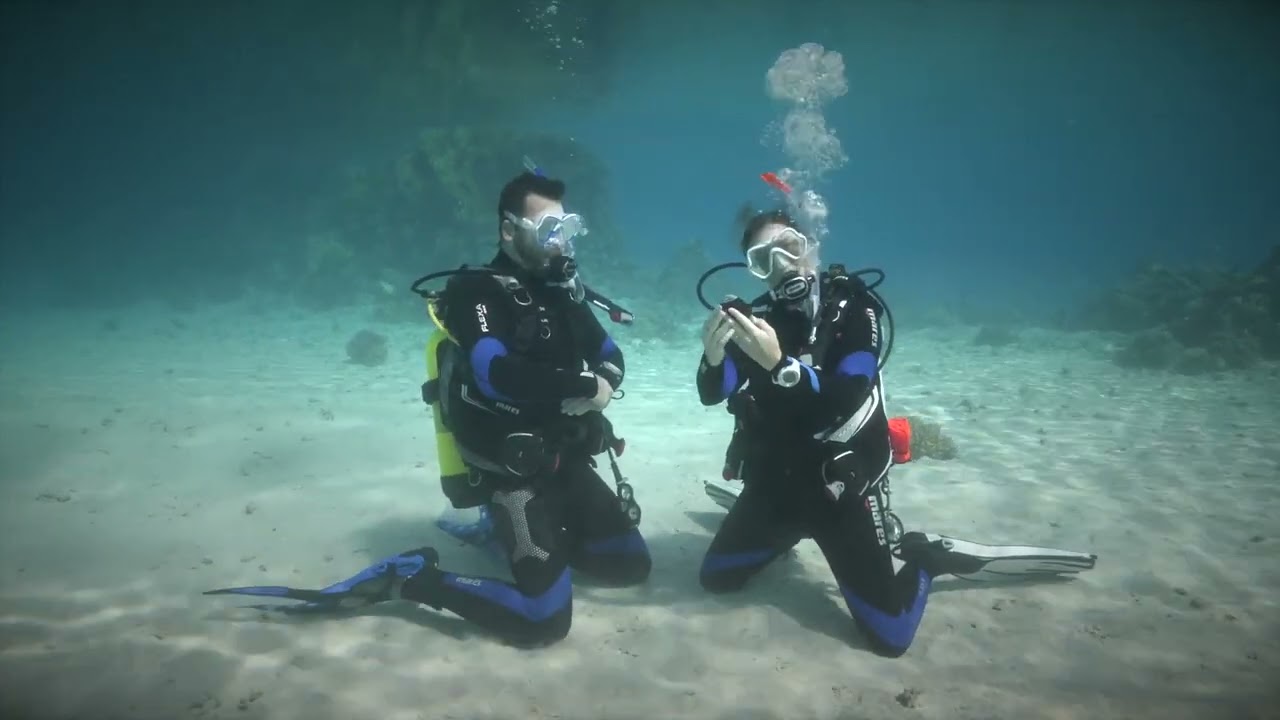Emergency Buoyant Ascent - Recreational Diving Skills