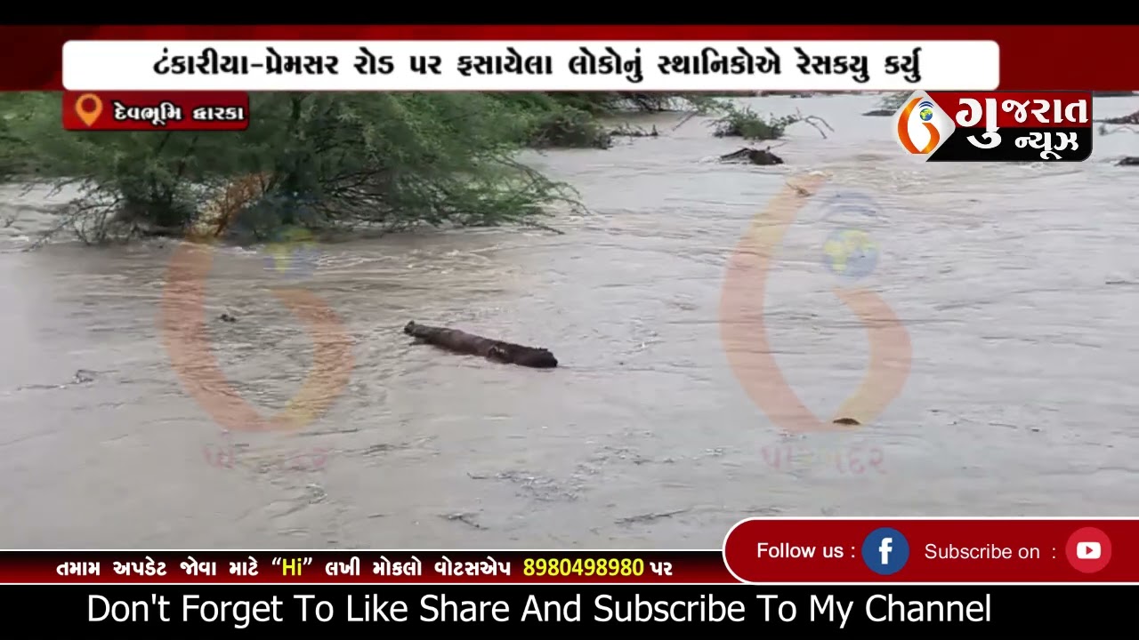 DWARKA  દેવભૂમિ દ્વારકાના ટંકારીયામાં ૪ ઈંચ વરસાદથી પાણી ફરી વળ્યા  10 07 2024