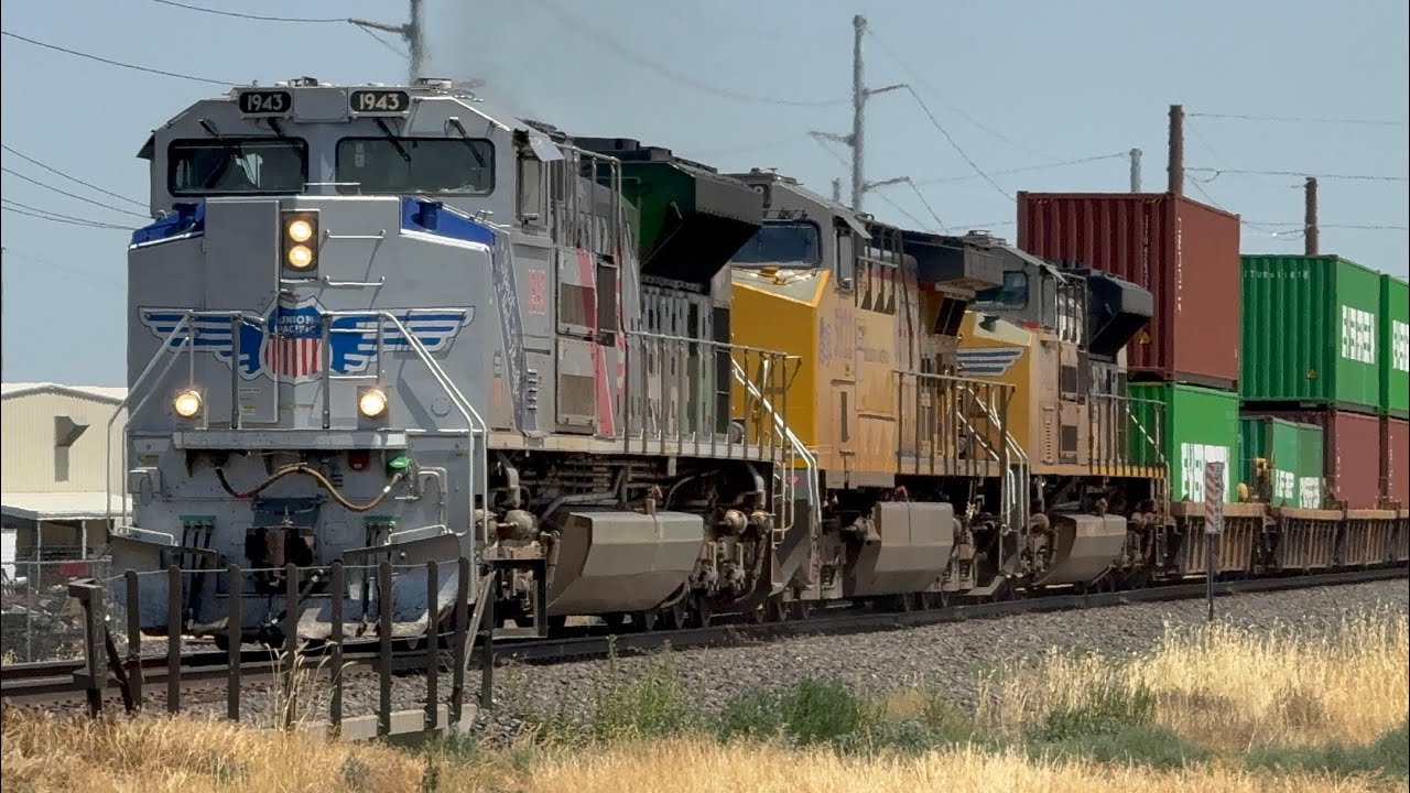 Summer Train Catches for 2025
