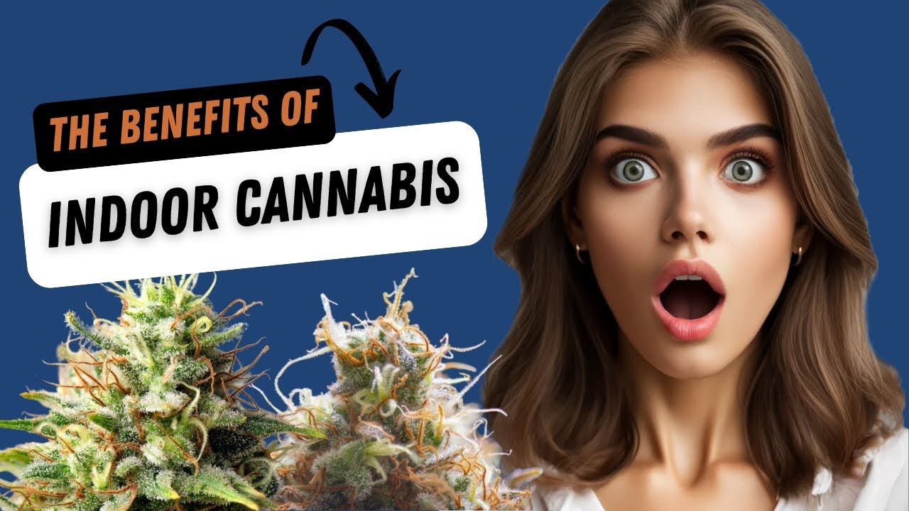 Benefits of Indoor Cannabis -With The Bud Grower