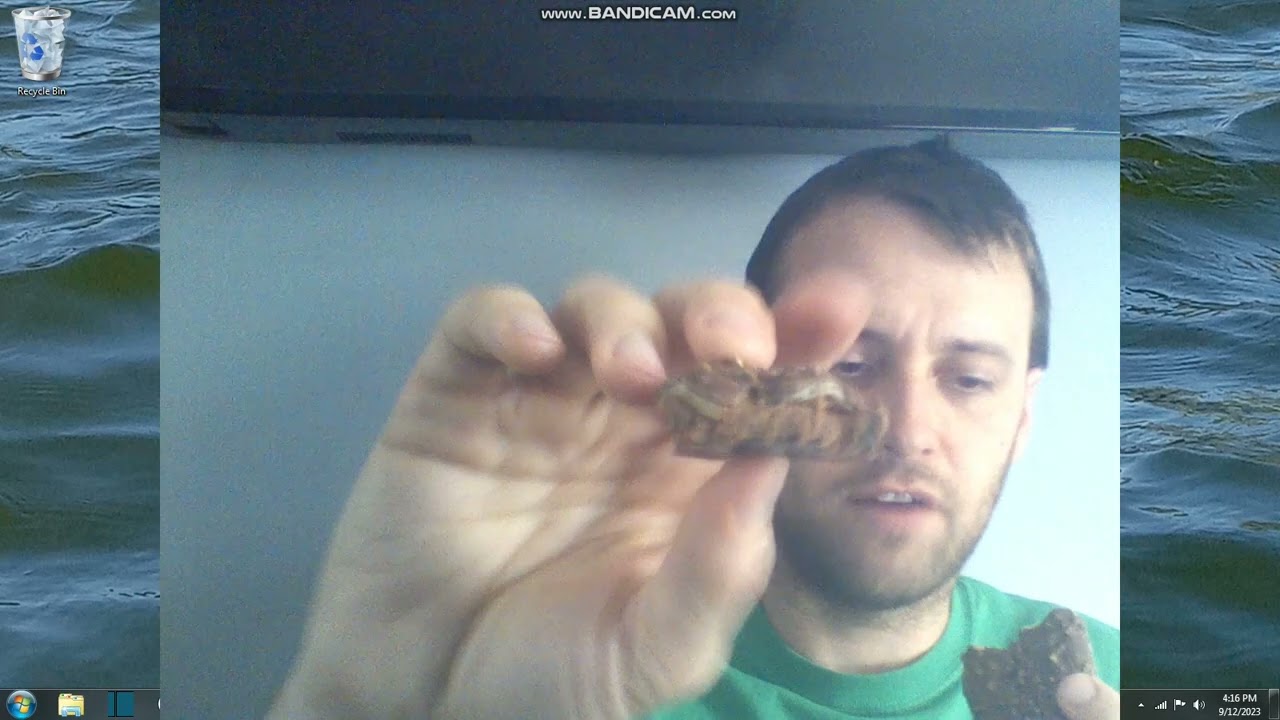Tasting European Snack Foods