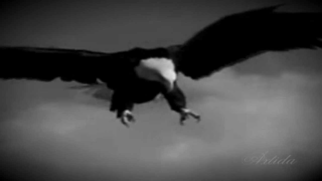 Αητός αητό μεγάλωνε .. -Πασχαλης Τερζης Αδαμαντιδης