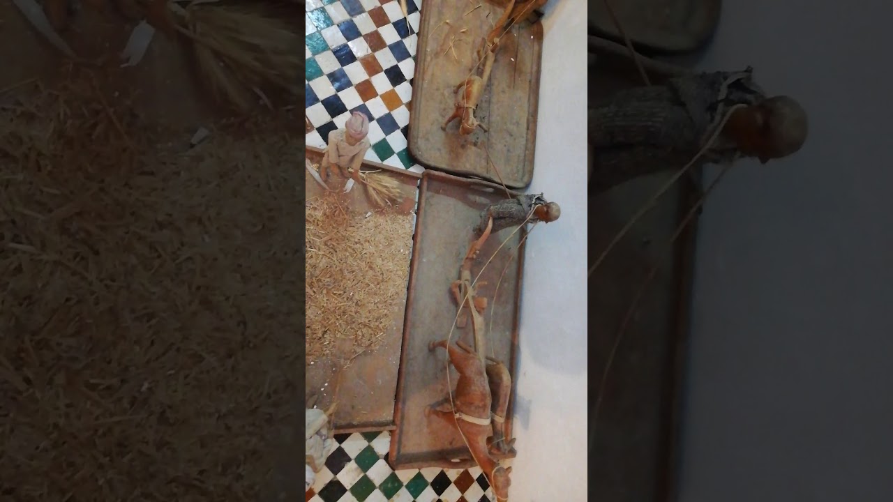 رياض للبيع بمدينة مكناس riad a vendre au centre ville de meknes🏣🏡🏘️
