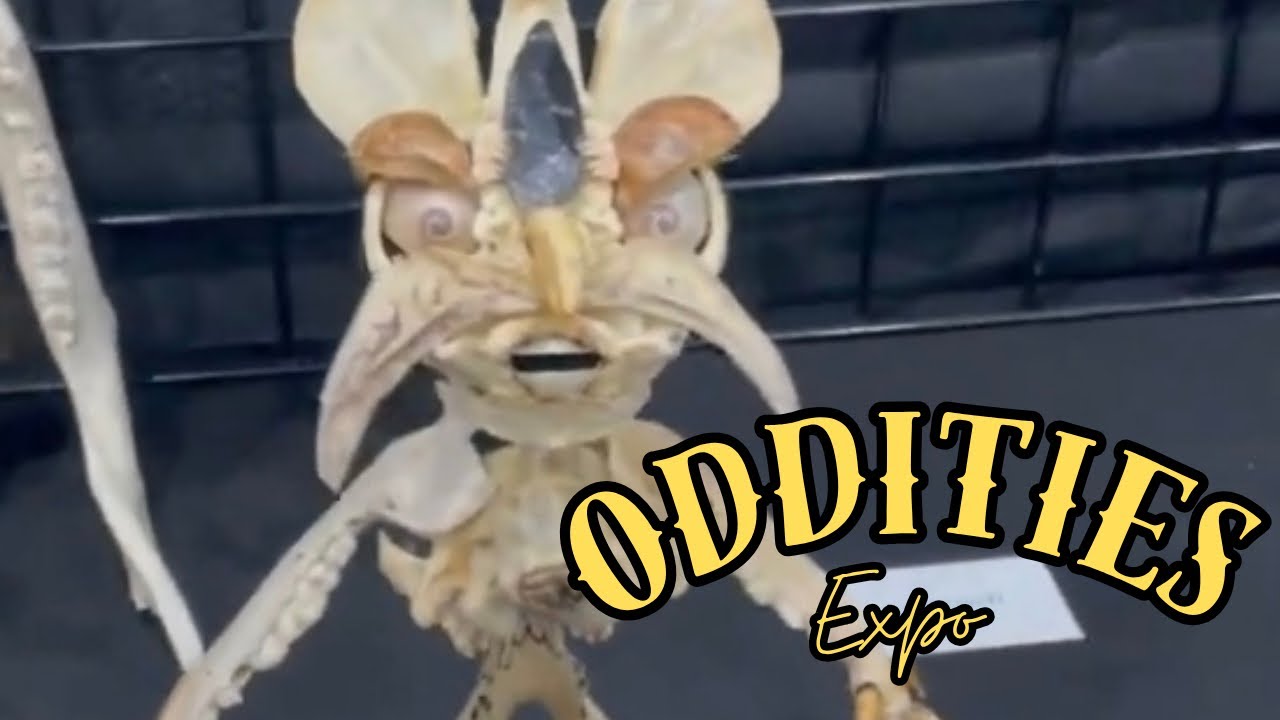 Get Your Tickets Now! Oddities & Curiosities Expo 2026 – Houston’s Strange & Wonderful Week 