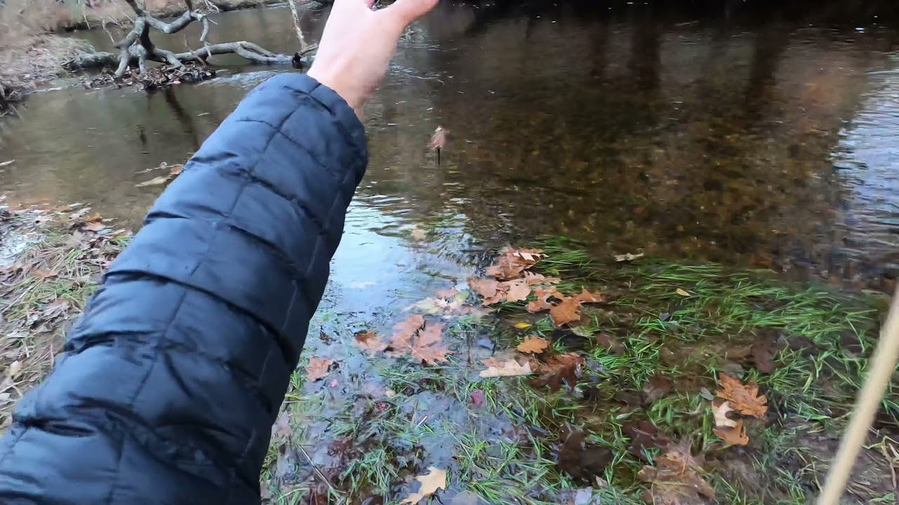 RARE MASSACHUSETTS ATLANTIC SALMON on the Fly | A Fly Fishing Journey | Success?