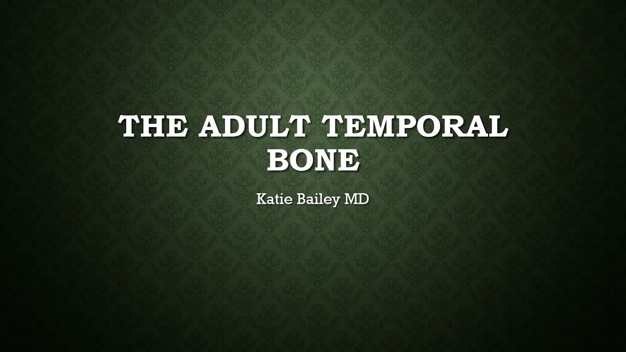 Temporal bone CT search pattern