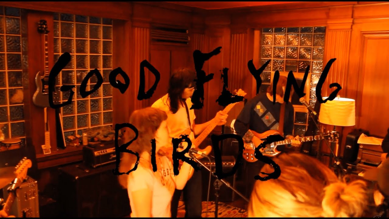 GOOD FLYING BIRDS - NEW NOW