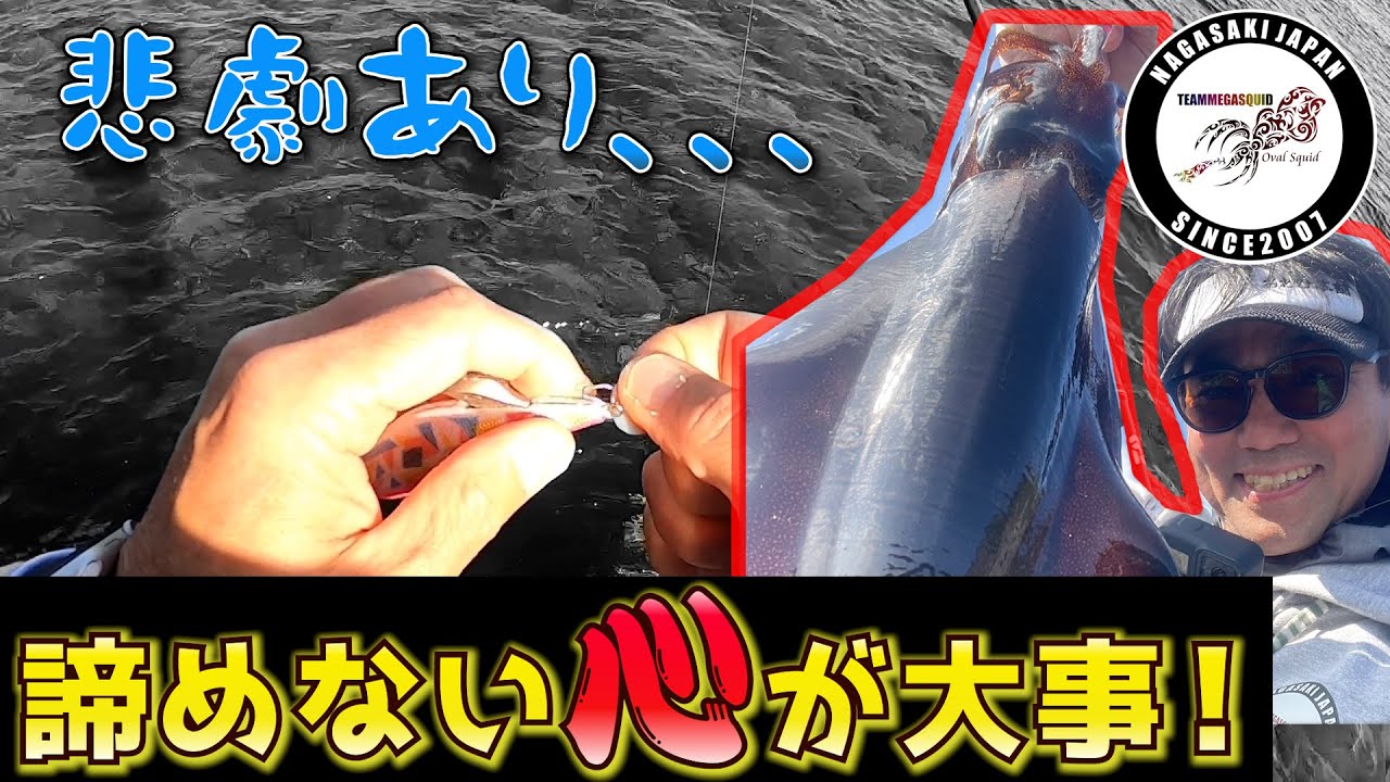 【エギング】悲劇？！くじけず良型狙う！