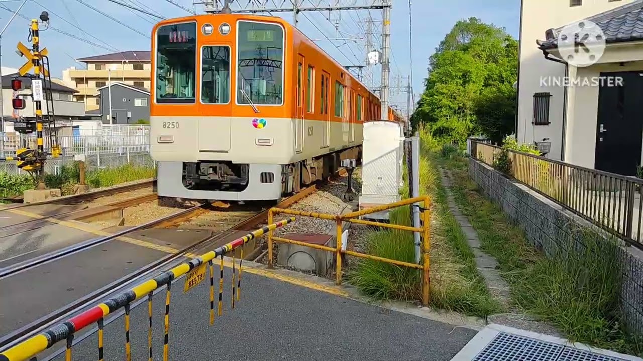 【三吉鉄道】山陽電車林崎西第2踏切通過集‼️（赤胴車あり）
