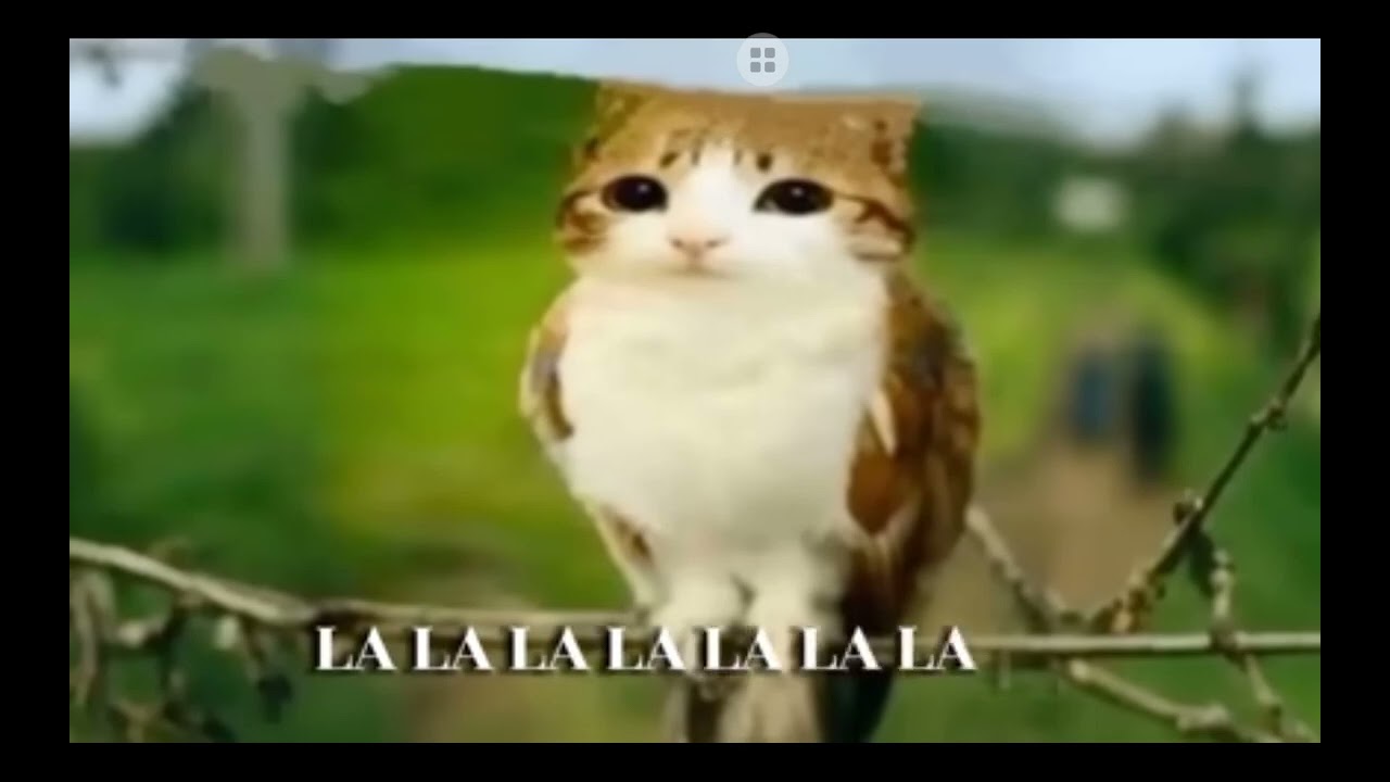 Хе