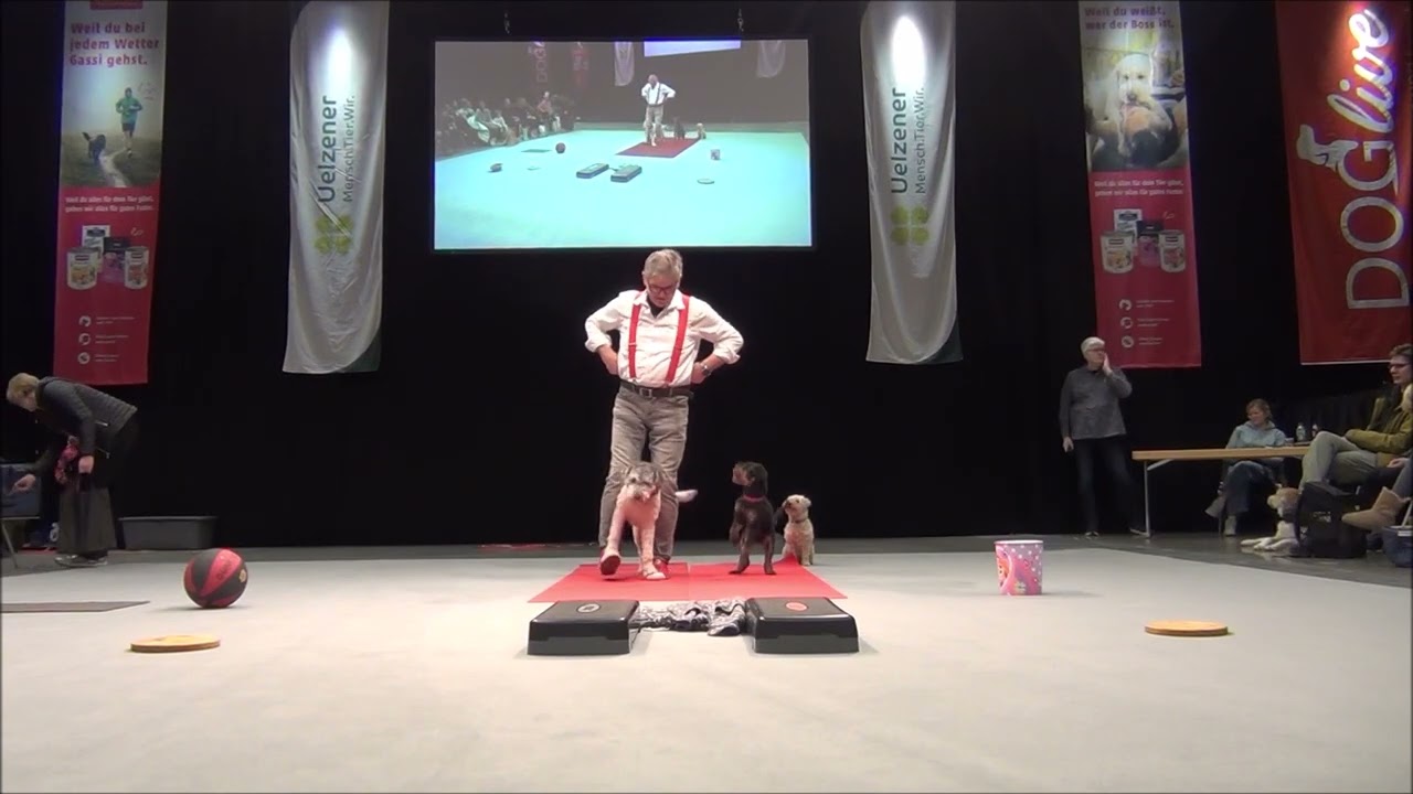 26 01 18 ohne Requsiten DOGlive, Wolfgang Steffens, Der Hundetrainer