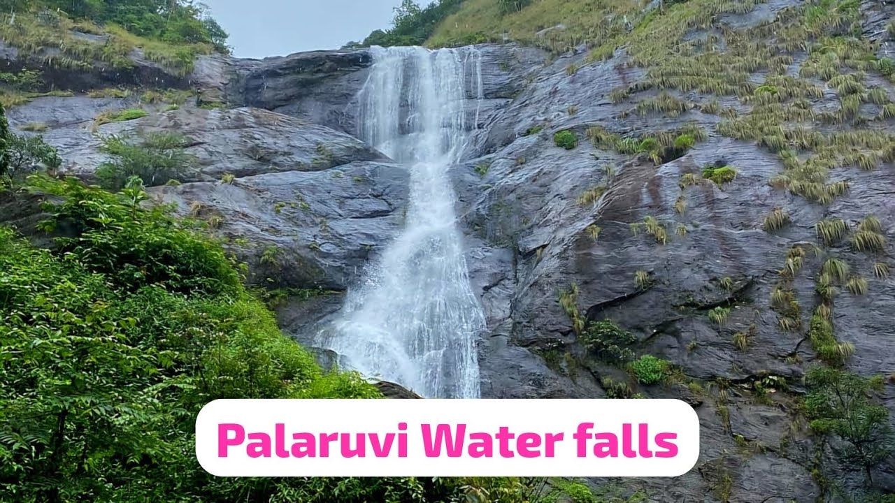 Palaruvi water falls//Kollam/One day trip in Kerala/ Thenmala Ecotourism.#Palaruvi#waterfall 