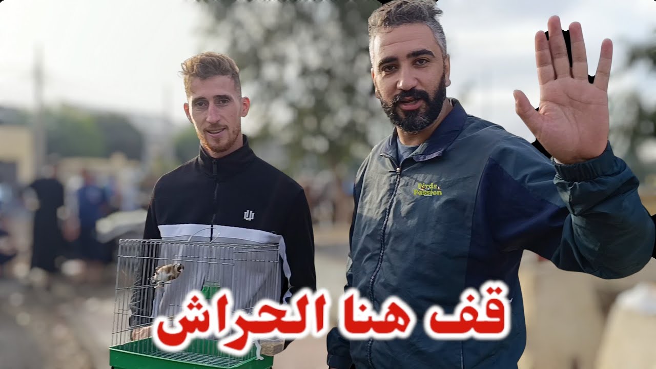 كل الفرص متاحة في سوق دلالة ل مدينة الحراش | قف هنا ☝️