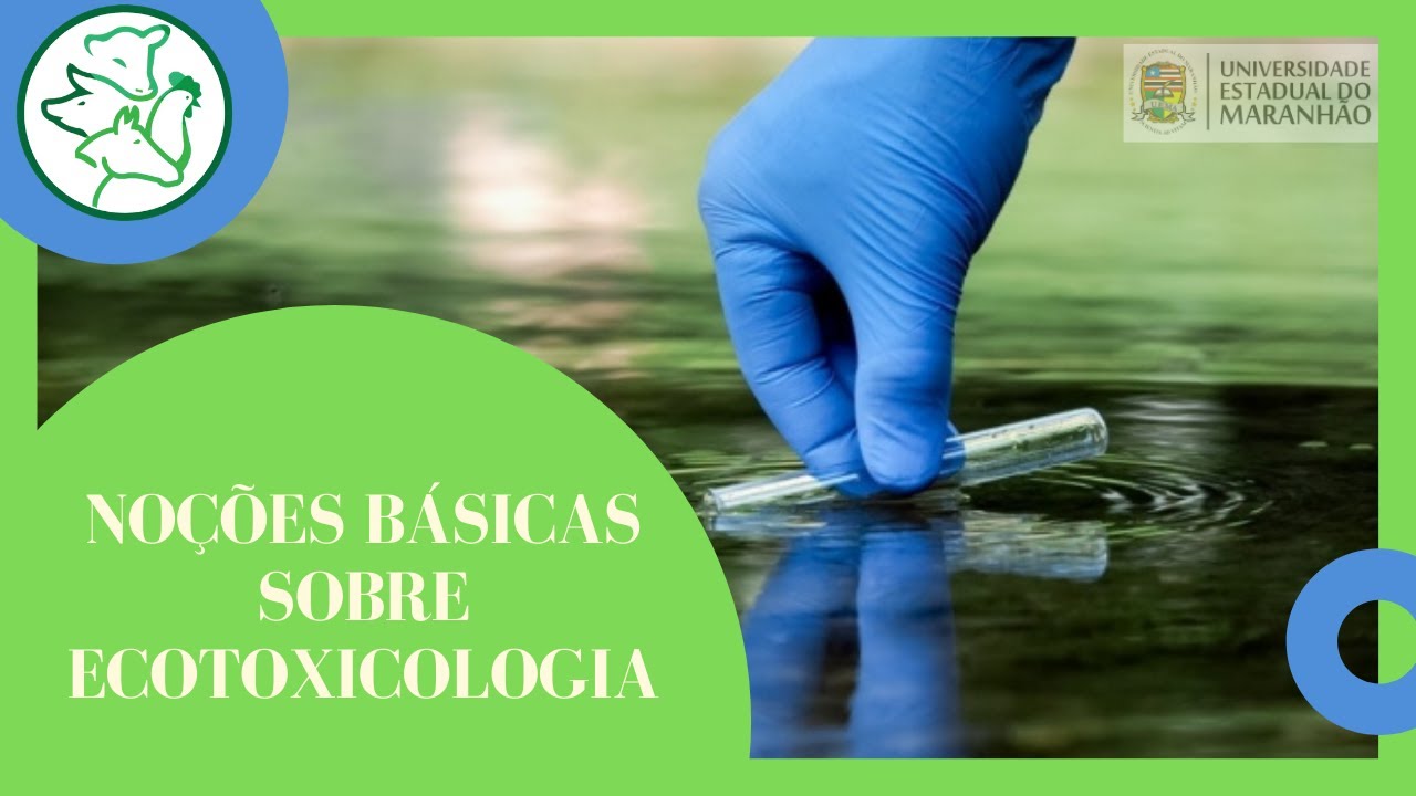 NOÇÕES BÁSICAS SOBRE ECOTOXICOLOGIA