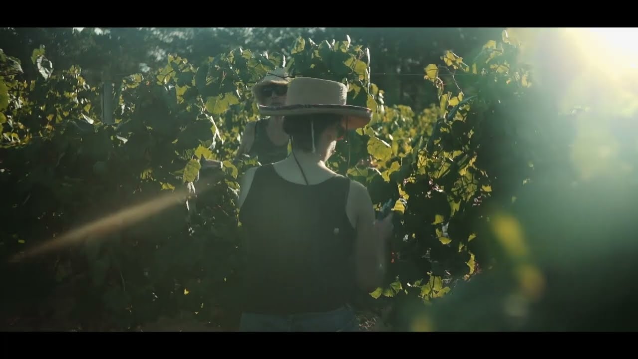 PROFUNDO FINAL FULLHD22 3 2023 2