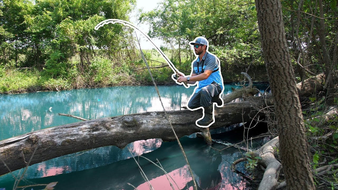 Fishing a TINY Pond HIDDEN in the WOODS!!! (After Historic Flooding!)