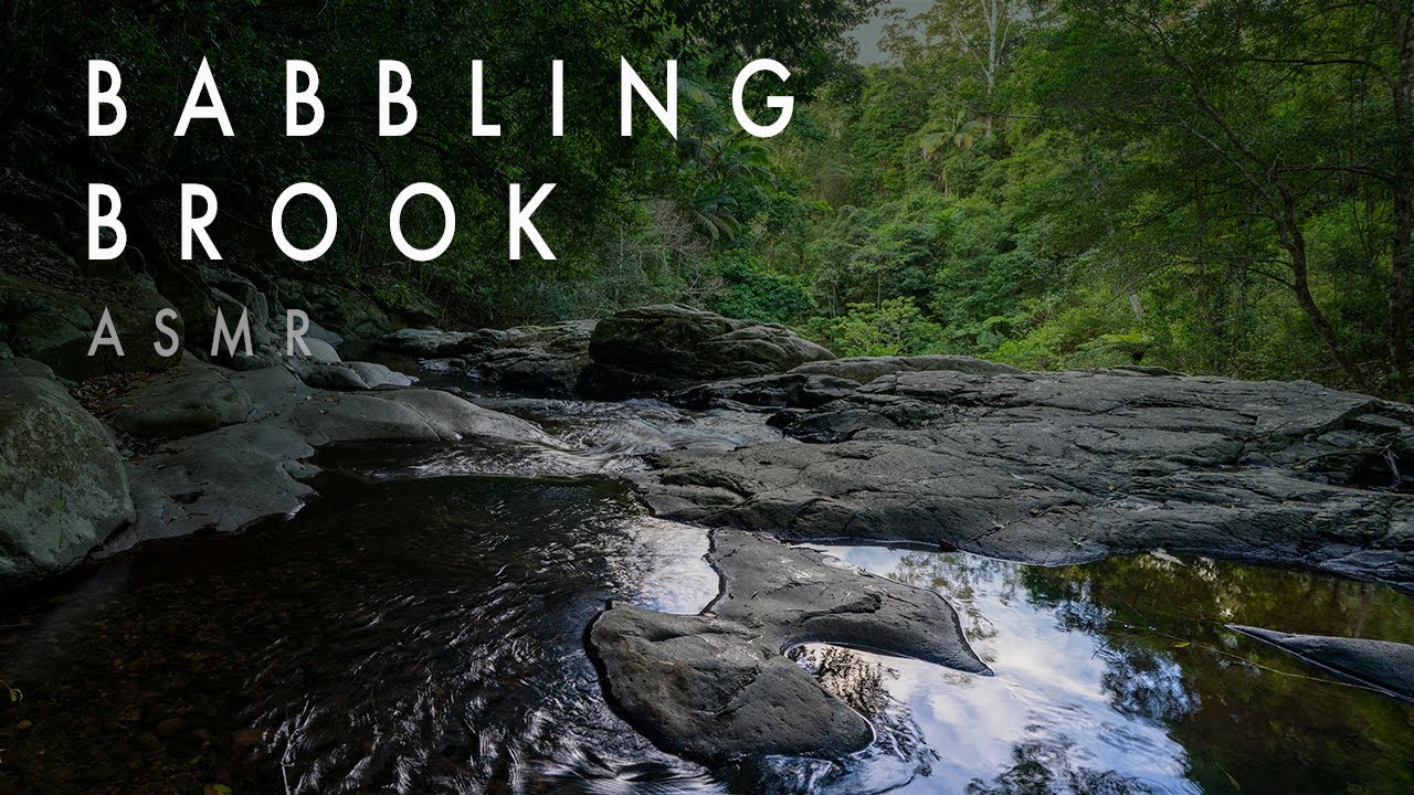 Gentle Water Sounds ASMR | Babbling Brook