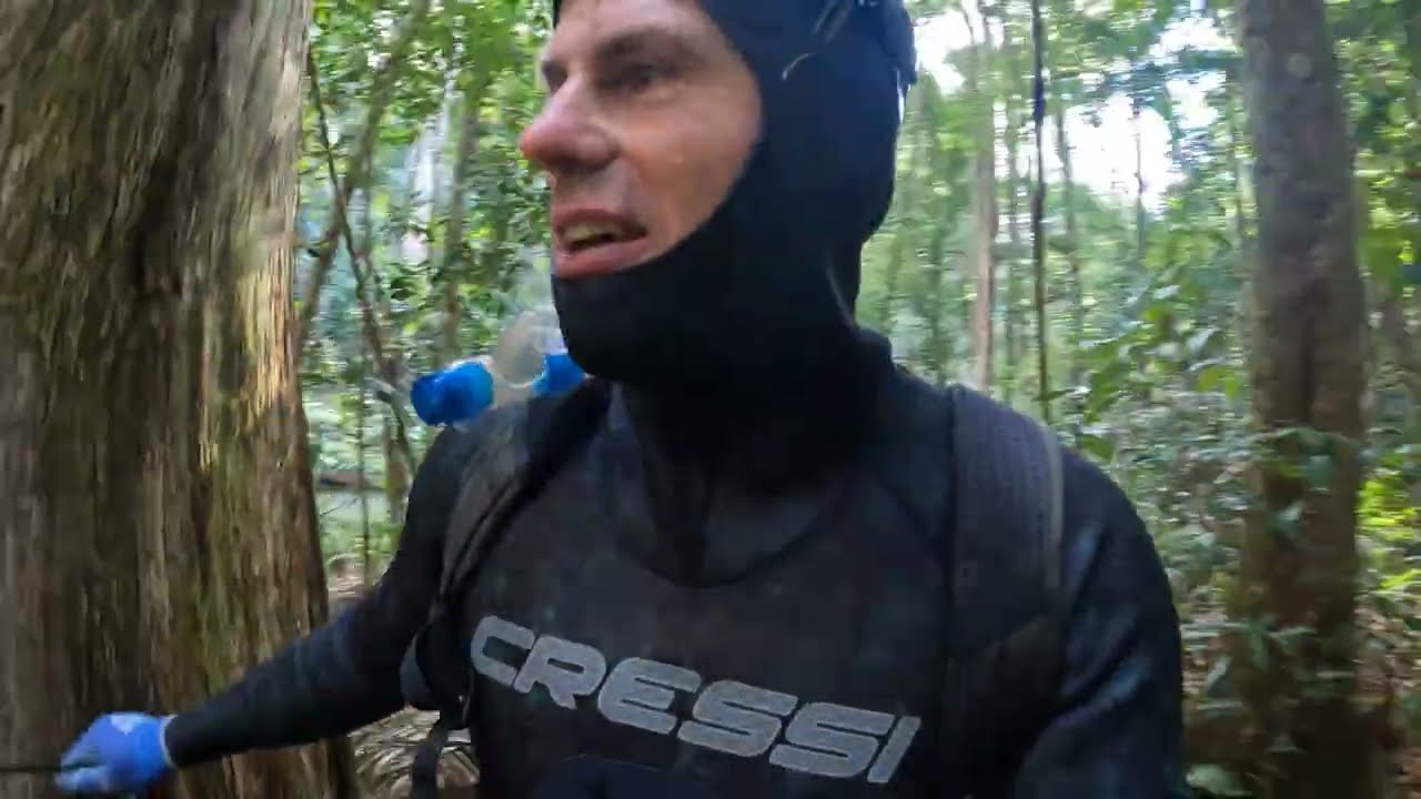 The FORESTS of QUEENSLAND are hiding RICHES NEVER DISCOVERED!!!