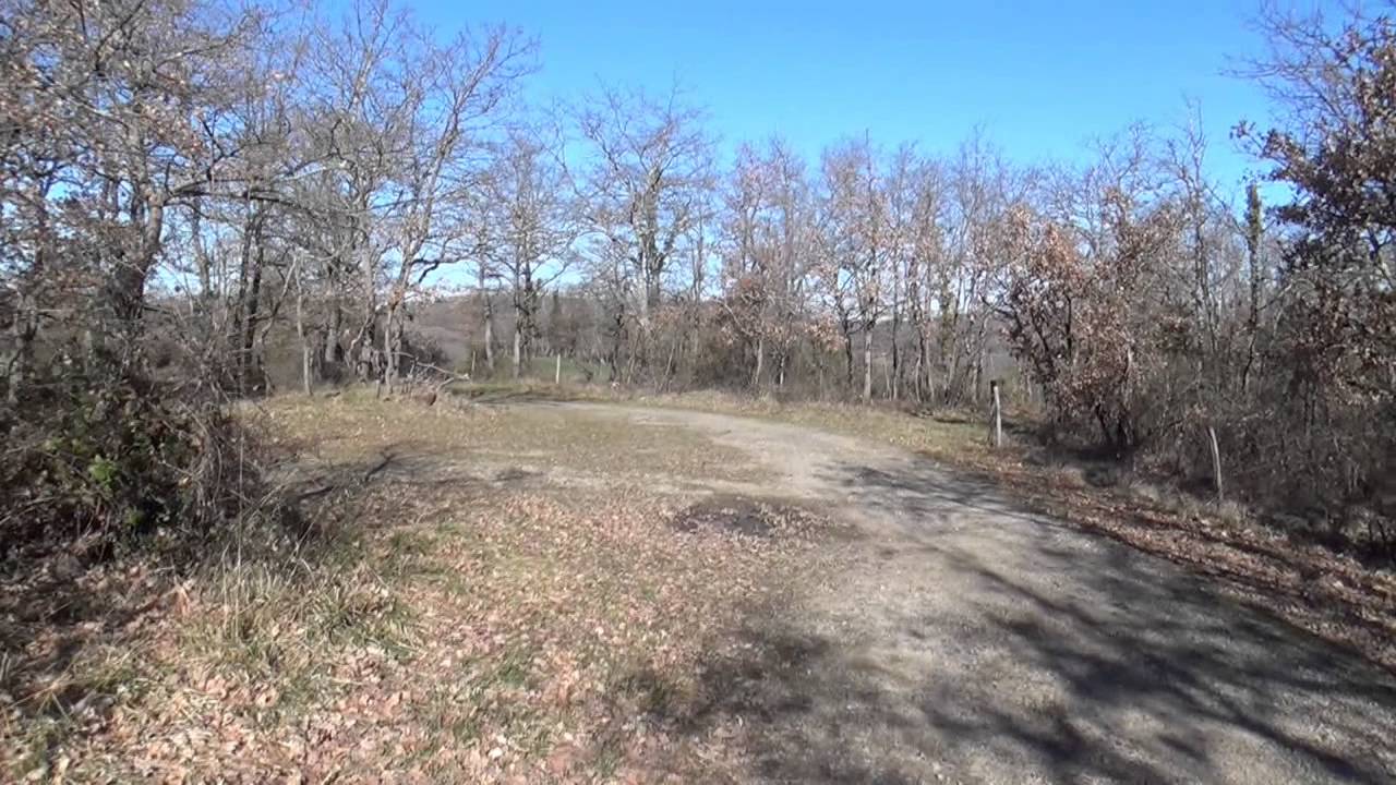 Chasse du Lievre aux chiens courants - Bruno du jura - Ariege-Rallye des Coumes