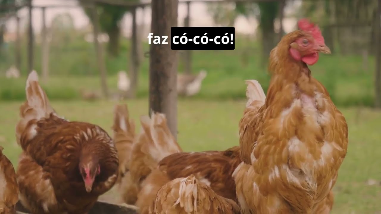 Os Bichinhos da Fazenda