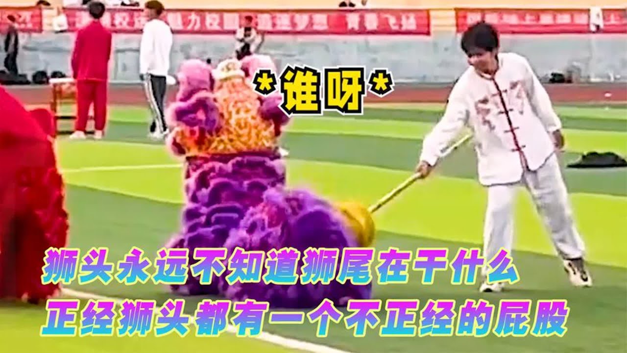 狮子头不知道狮尾在干什么，狮头在合照，狮子尾在打闹还急眼了