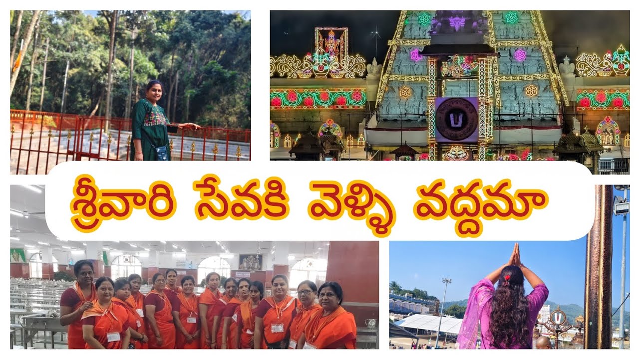 శ్రీవారి సేవకు పిలుపు వచ్చింది నా యొక్క అనుభవాలు🙏🙏#shortsfeed #youtube #ttd#viralvideo #explore 