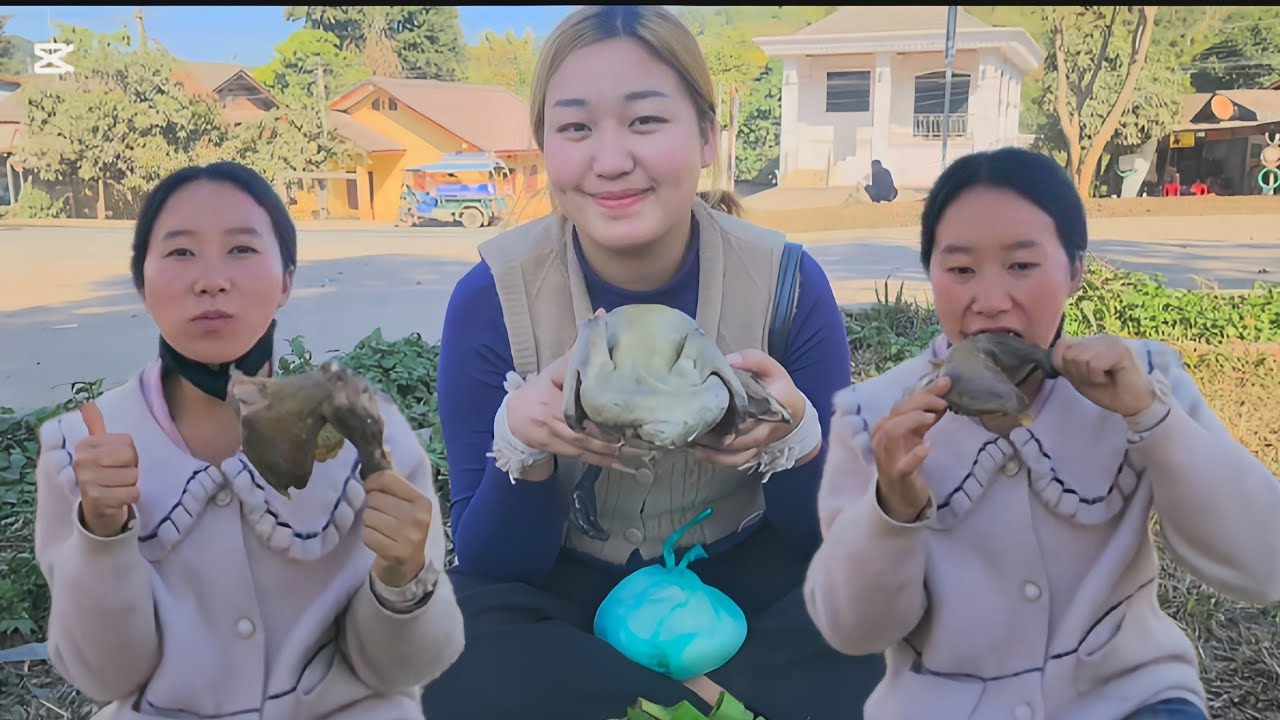 Lig wb los noj niam thb txiv tus qaib Qab tiagg 