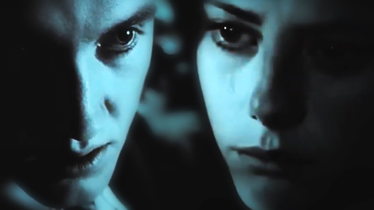 Fem!Harry Potter x Draco Malfoy || Familiar