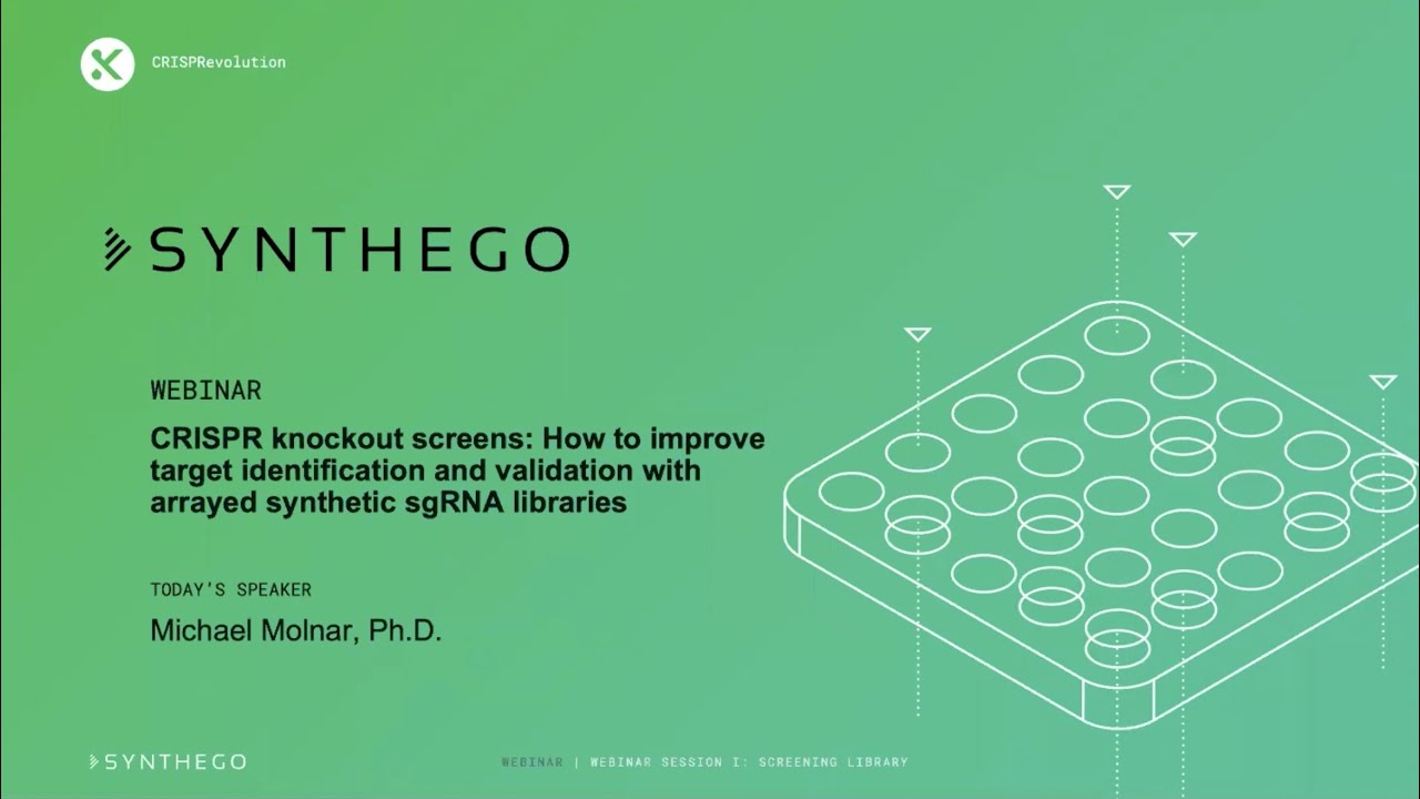 Webinar:  Discovery to Clinic - CRISPR Knockout Screens