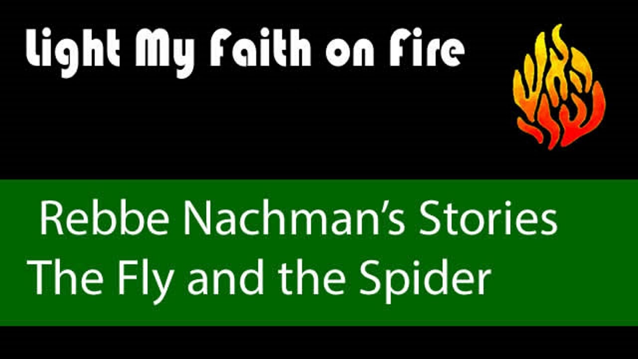 Rebbe Nachman's Stories  The Fly and the Spider