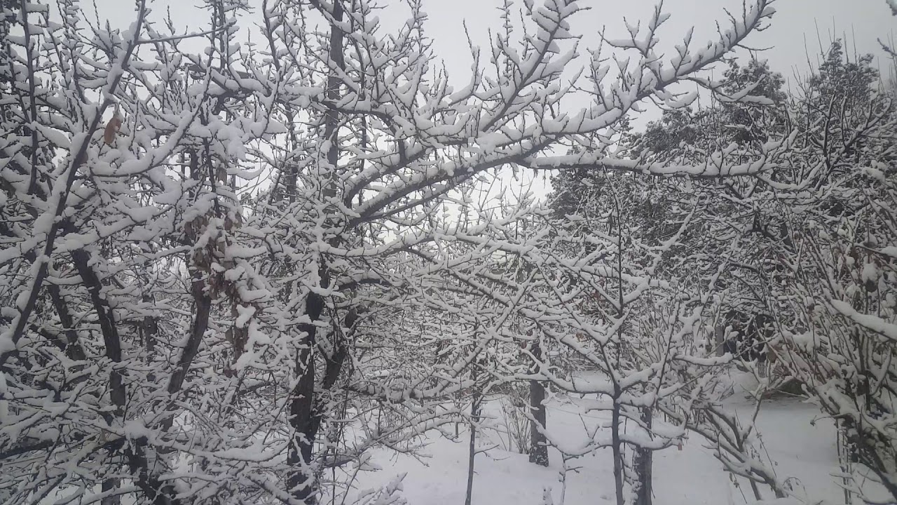 #snowfall in #Ziarat