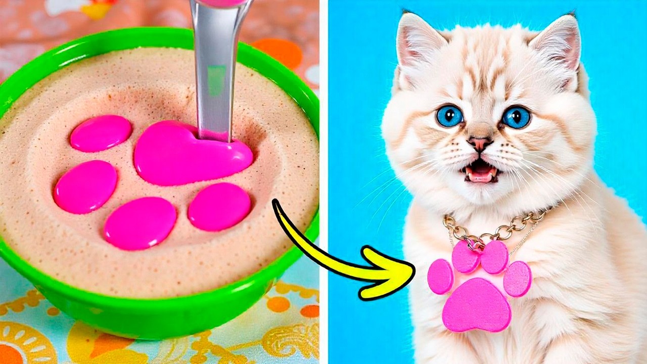Cats React to the WILDEST TikTok Trends You've Ever Seen
