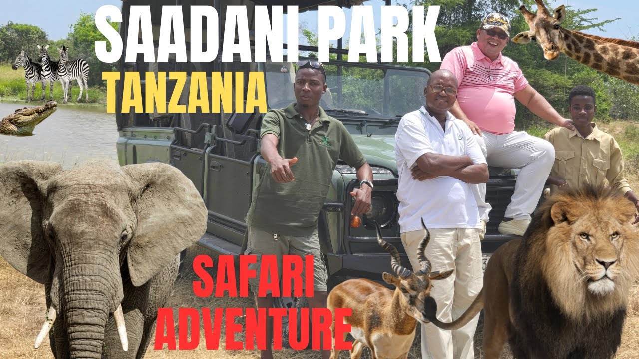 Wild Safari Adventure in Saadani National Park Tanzania – Where the Bush Meets the Beach Jan 2025