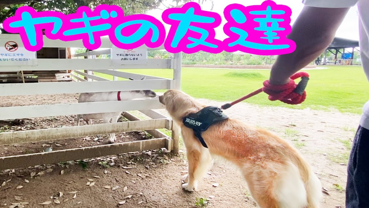 国の重要文化財で散歩してきたよ!!