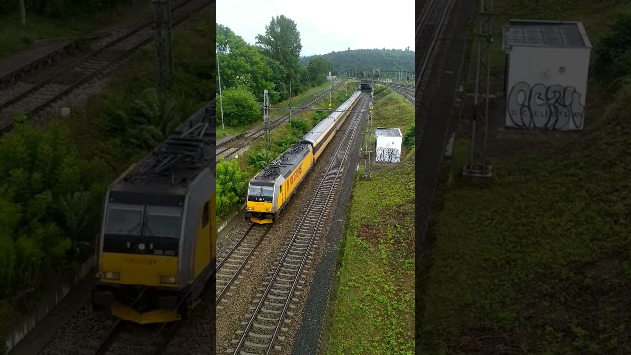 Train Regiojet // vlak Regiojet 