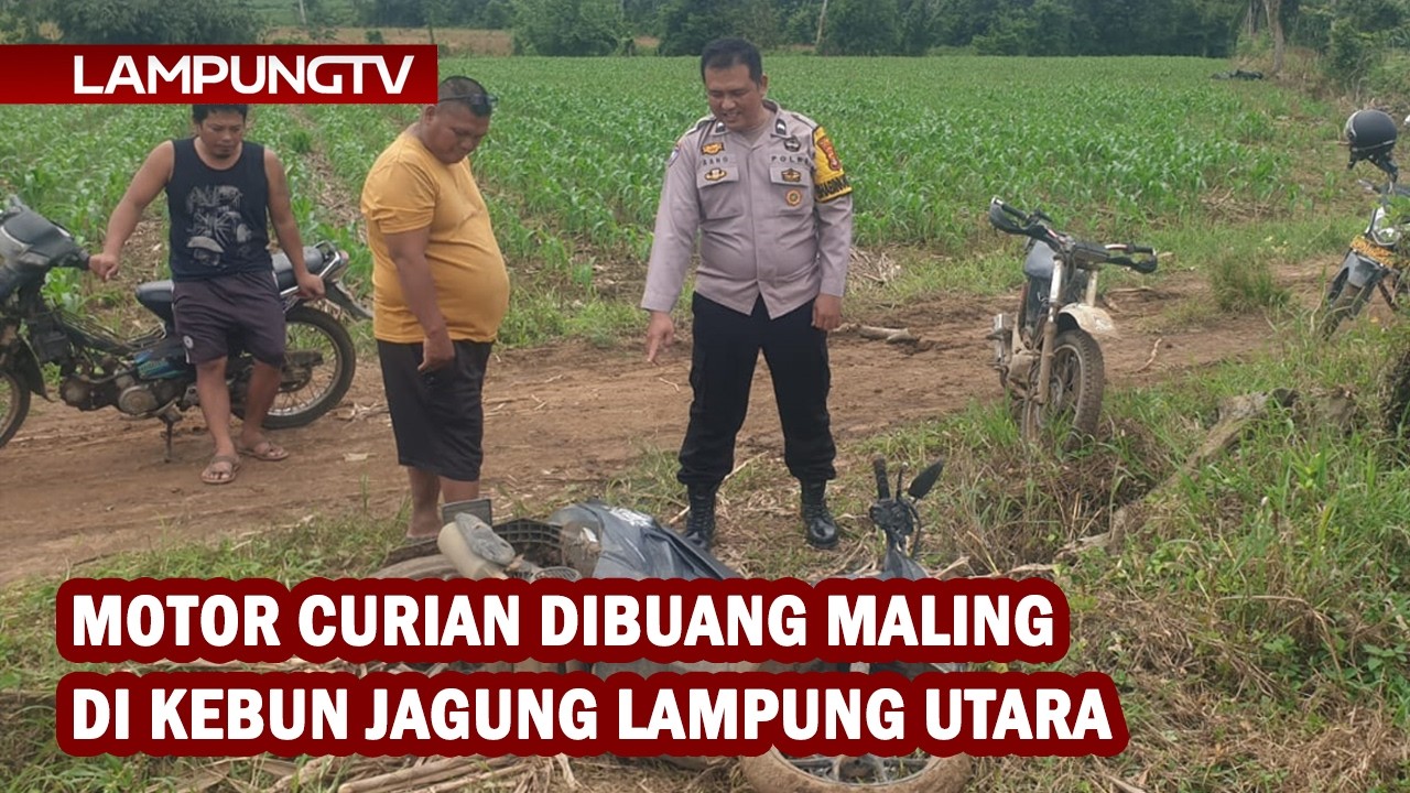Motor Curian Dibuang Maling di Kebun Jagung Lampung Utara