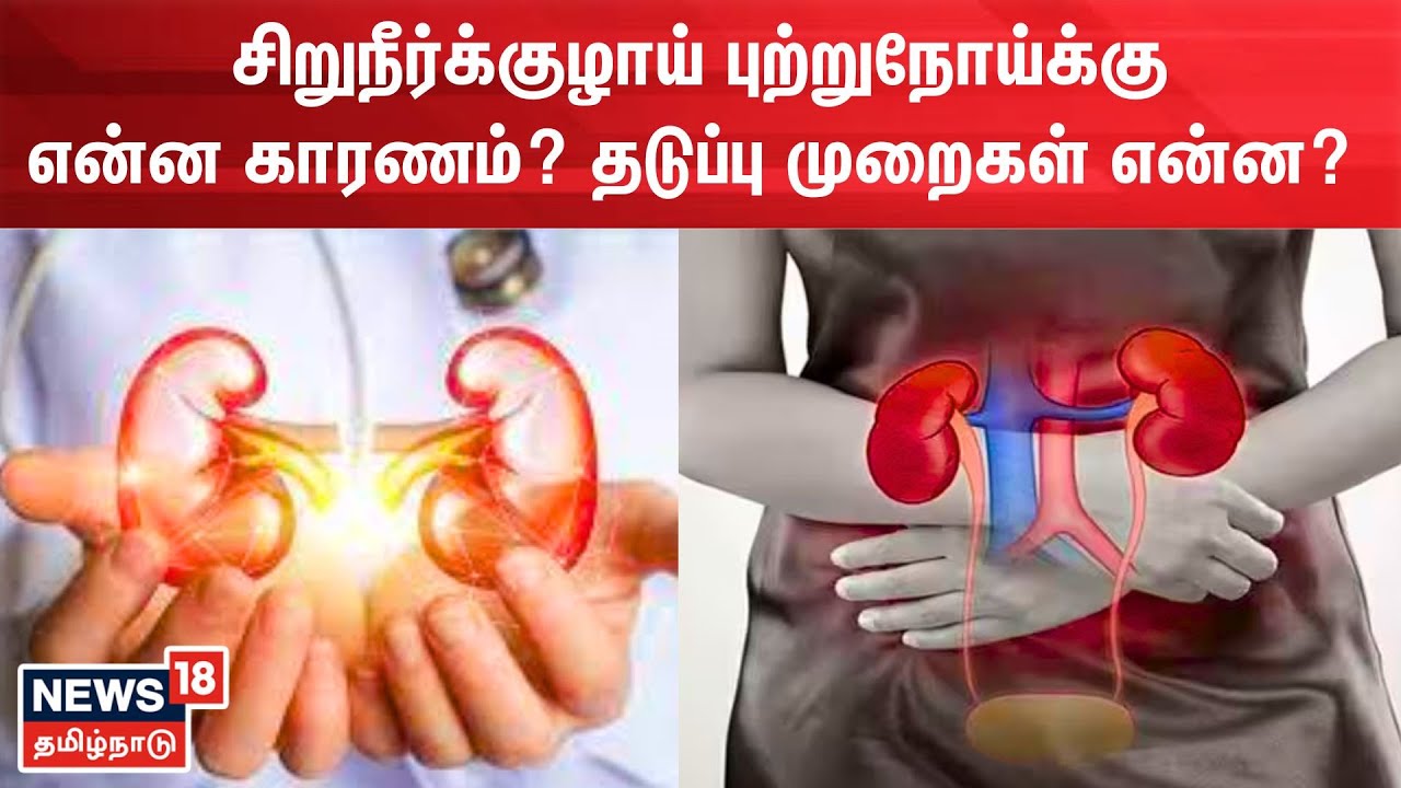 Apollo Proton Cancer Center | சிறுநீரகம் புற்றுநோய் தடுப்பு முறைகள், சிகிச்சை என்ன? |  Kidney Cancer