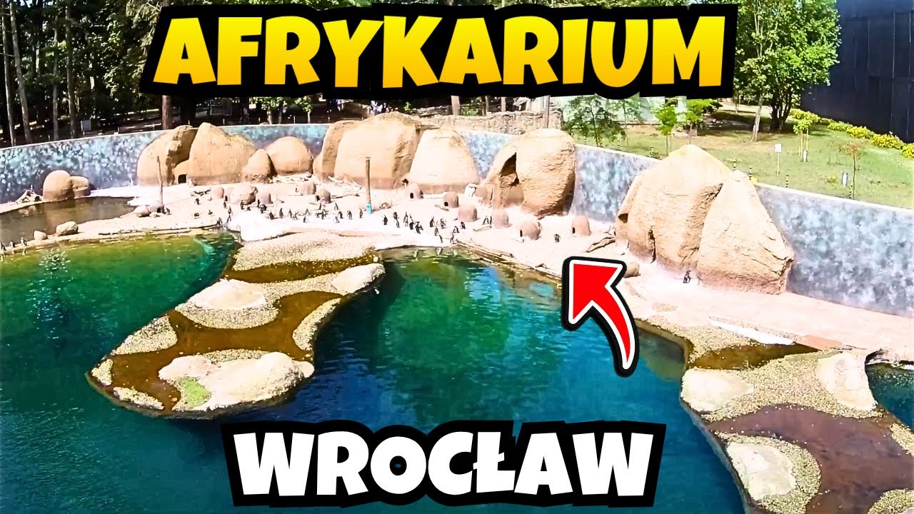 AFRYKARIUM WROCŁAW !