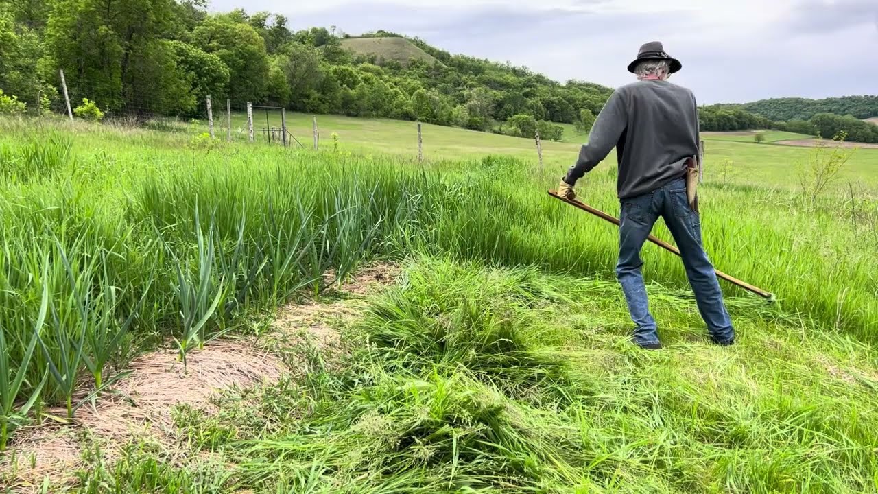 Grass-Fed Garlic