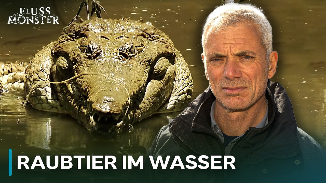 Monster aus Australiens Flüssen | Fluss Monster