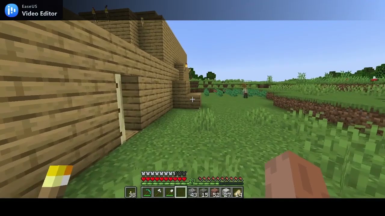 minecraft ama arkadaşım &ouml;l&uuml;rse video biter.