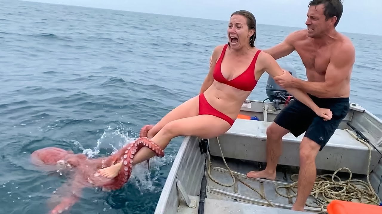 Interesting Animal Moments Caught on Camera