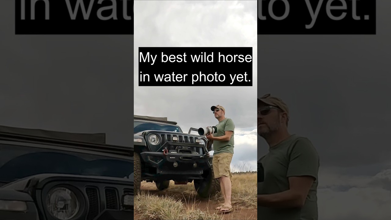 My best wild horse photo ever. 🐎💨