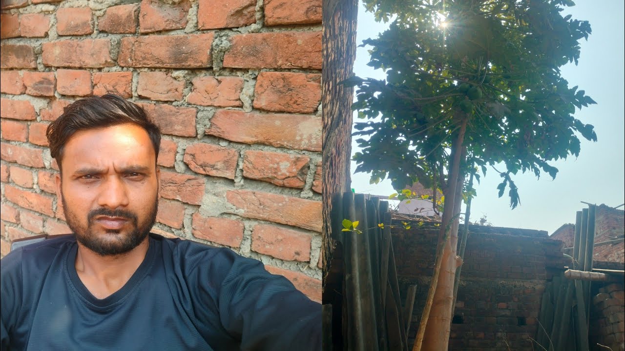 Dhup me papita ke ped ke niche baithe hai/dhup me papita ke ped ke niche baithe hai 