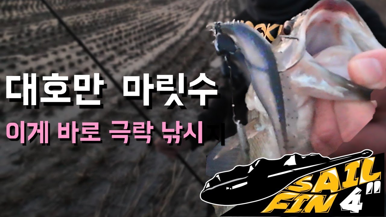 대호만에서 극락낚시!! 플래시 스위머랑 미노우 장전하세욥! 
