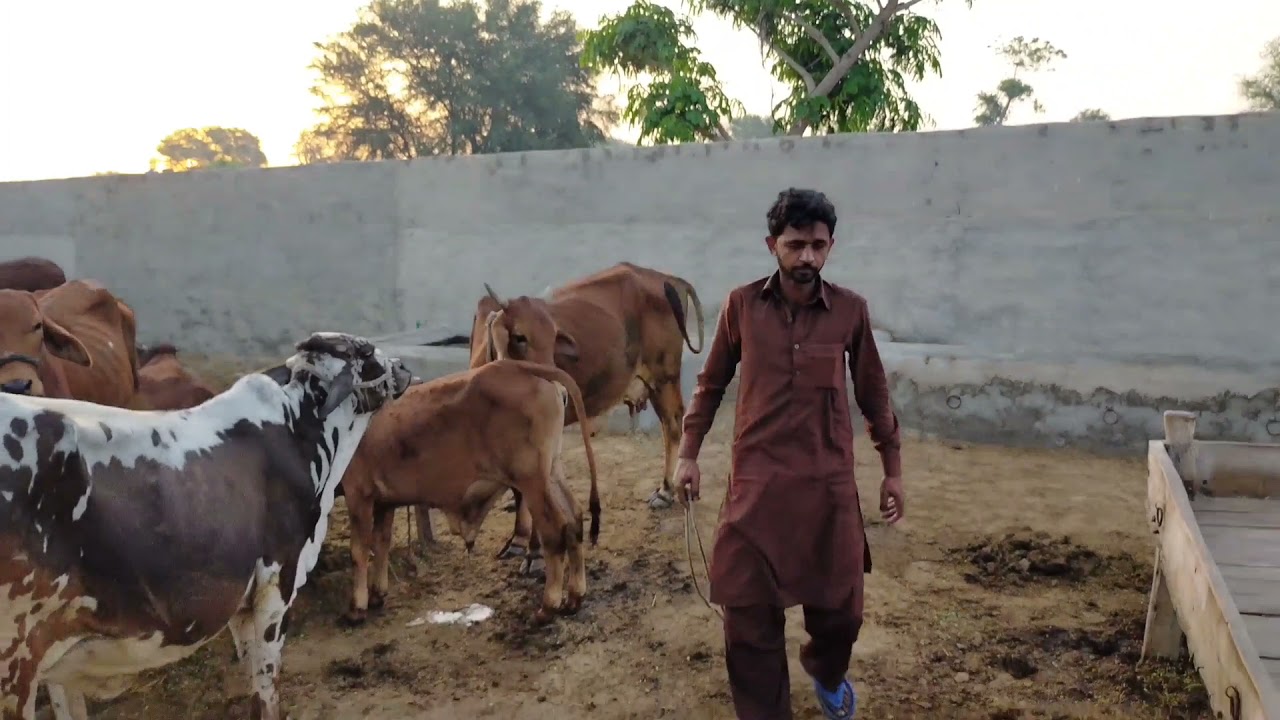Imran Joyia ( mani 80 aaala )26 March 2021