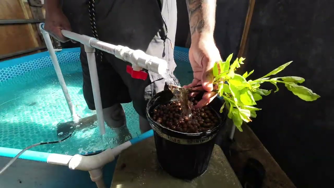 The start has finally arrived 